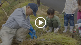 子育て