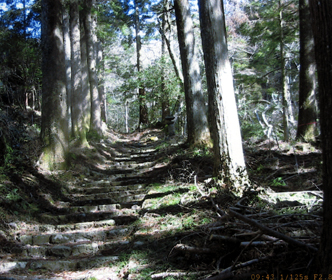 西の熊野2