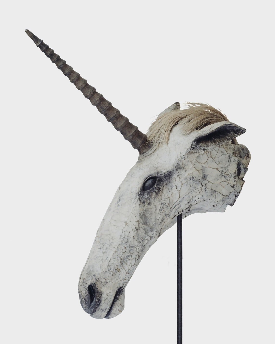 クロヌマ作品２