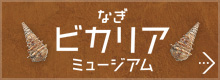 なぎビカリアミュージアム