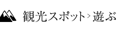 観光スポット 遊ぶ