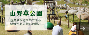 山野草公園　遊具や水遊びのできる渓流がある憩いの場。